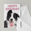 Set van 5 grote kaarten met honden