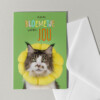Set van 5 grote kaarten met katten