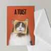 Set van 5 grote kaarten met katten