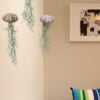 Set van drie Jellyfish luchtplantjes met Alfonso zee-egels en Spaans mos.