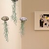 Set van drie Jellyfish luchtplantjes met Alfonso zee-egels en Spaans mos.