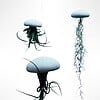 Set van drie Jellyfish luchtplantjes met Alfonso zee-egels verschillende Tillandsia's
