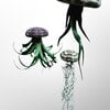 Set van drie Jellyfish luchtplantjes met Alfonso zee-egels verschillende Tillandsia's