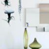 Set van drie Jellyfish luchtplantjes met Alfonso zee-egels verschillende Tillandsia's