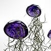Set van drie mooi gekleurde Jellyfish luchtplantjes, gemaakt van Epoxy en Spaans mos
