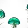 Set van drie mooi gekleurde Jellyfish luchtplantjes, gemaakt van Epoxy en Spaans mos