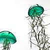 Set van drie mooi gekleurde Jellyfish luchtplantjes, gemaakt van Epoxy en Spaans mos