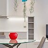 Set van drie mooi gekleurde Jellyfish luchtplantjes, gemaakt van Epoxy en Spaans mos