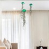 Set van drie mooi gekleurde Jellyfish luchtplantjes, gemaakt van Epoxy en Spaans mos
