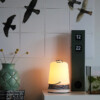 Cable Table Light Matte