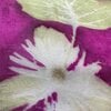 Cadeaubon Silky Leaves – een persoonlijk en uniek cadeau