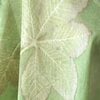 Cadeaubon Silky Leaves – een persoonlijk en uniek cadeau