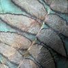 Cadeaubon Silky Leaves – een persoonlijk en uniek cadeau
