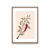 Chili plant kunstprint – botanische illustratie met rode peper | A4 poster 21x30 cm