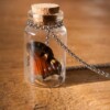 Echte vlinder in glazen flesje ketting