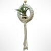 Handgeknoopte macramé-hanger met een Tillandsia Capitata Peach.