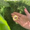 Micro Gehaakte Zonnebloem Ketting