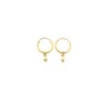 Mini Pearl Hoops Gold