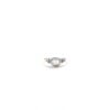Rainbow Moonstone Facet Oval Triquetra Silver