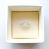 Rainbow Moonstone Facet Oval Triquetra Silver