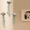 Set van drie Jellyfish luchtplantjes met Alfonso zee-egels en Spaans mos.