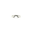 Silver Crescent Moon