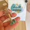 Bedankt Meester - Aventurijn