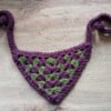 Handgemaakte Gehaakte Hondenbandana – Paars & Groen