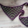 Handgemaakte Gehaakte Hondenbandana – Paars & Groen