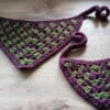 Handgemaakte Gehaakte Hondenbandana – Paars & Groen