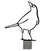 Merel