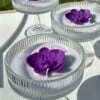Orchid Glow