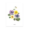 Set van 7 gevouwen A6 kaarten bloemen