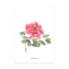 Set van 7 gevouwen A6 kaarten bloemen