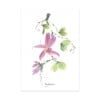 Set van 7 gevouwen A6 kaarten bloemen