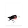 Set van 7 gevouwen A6 kaarten vogels