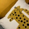 Suzy’s cat’s collection