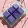 WaxMelt Alien