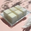 WaxMelt Dove
