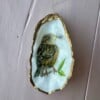 DIY schelpen knutselpakket voor thuis