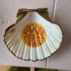 DIY schelpen knutselpakket voor thuis