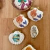 DIY schelpen knutselpakket voor thuis