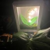 Gehaakte Bloemenlamp met LED – Lelietje-van-dalen in Lijst met Mos