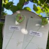 Gehaakte Caladium Bladeren – Boekenlegger & Magneet