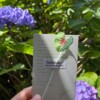 Gehaakte Caladium Bladeren – Boekenlegger & Magneet