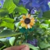 Gehaakte Zonnebloem Broche – Een Beetje Zonneschijn