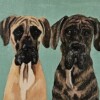 Gepersonaliseerd hondenportret Duitse dog