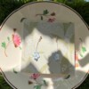 Lichtblauwe Vergeet-mij-nietjes Oorbellen Bloemetjes