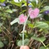 Micro Gehaakte Caladium Broche – Handbeschilderde Blaadjes