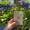 Micro Gehaakte Monstera Blad – Boekenlegger & Magneet